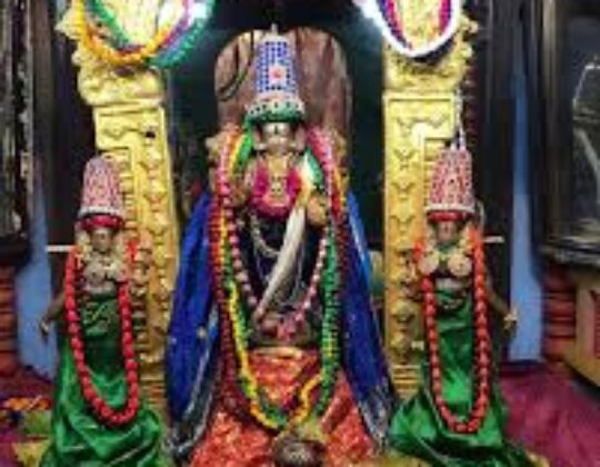 Sri Pachai Vannar Temple