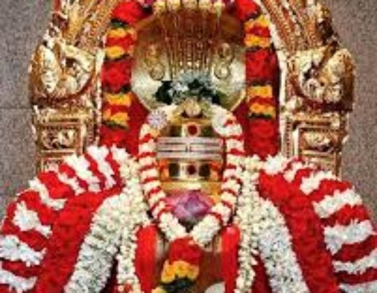 Meenakshi Sundareswarar Temple